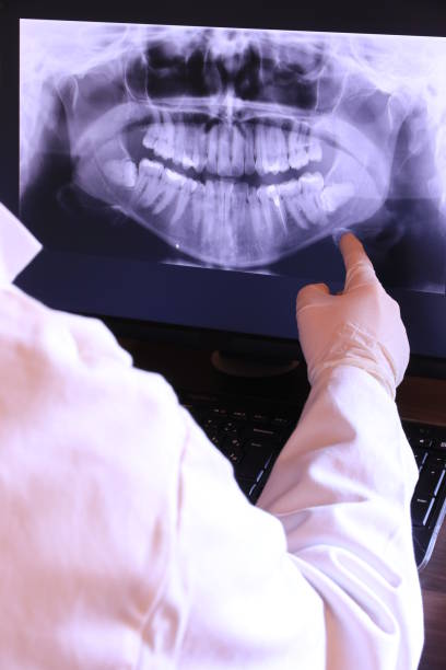 Best Emergency X-Rays and Diagnostics in Wolf Lake, MI
